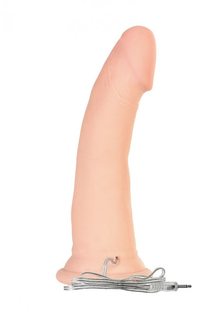 Телесный реалистичный ротатор Realstick Elite - 18,5 см. Телесный реалистичный ротатор Realstick Elite - 18,5 см.