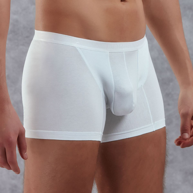 Боксеры из полупрозрачной хлопково-модальной ткани Боксеры из полупрозрачной хлопково-модальной ткани