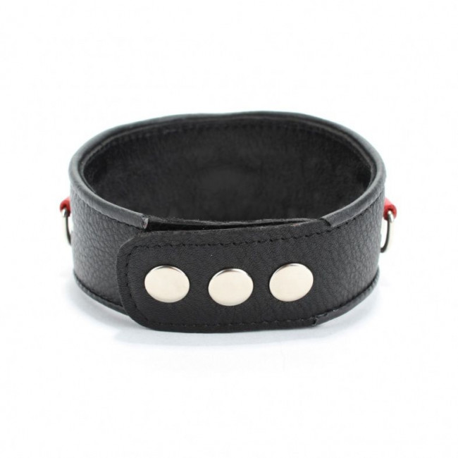 Кожаный ошейник с клепками и кольцами Кожаный ошейник с клепками и кольцами