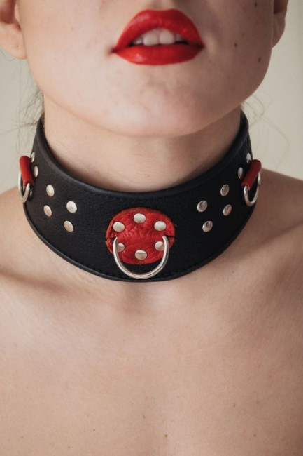 Кожаный ошейник с клепками и кольцами Кожаный ошейник с клепками и кольцами