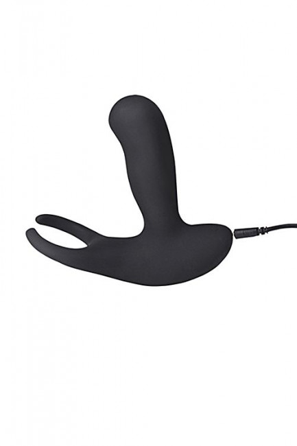 Стимулятор простаты Levett Earl с 2 моторами и пультом ДУ Стимулятор простаты Levett Earl с 2 моторами и пультом ДУ