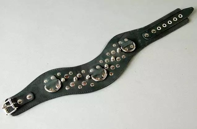 Ошейник на кожаной подкладке, украшенный шипами Ошейник на кожаной подкладке, украшенный шипами