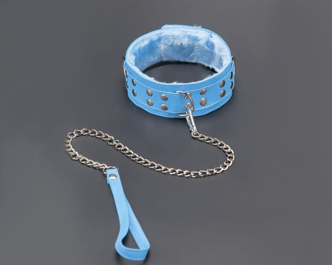Голубой ошейник с поводком Голубой ошейник с поводком