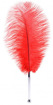 Красное страусовое пёрышко
