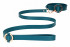 Зеленый ошейник с поводком Collar With Leash