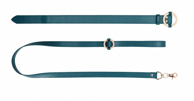 Зеленый ошейник с поводком Collar With Leash Зеленый ошейник с поводком Collar With Leash