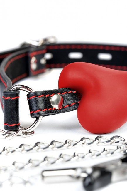 Красный кляп-трензель Theatre в виде косточки с зажимами для сосков Красный кляп-трензель Theatre в виде косточки с зажимами для сосков