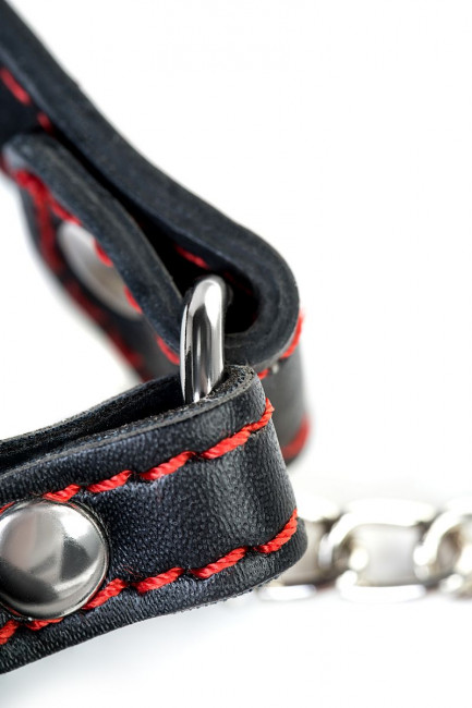 Красный кляп-трензель Theatre в виде косточки с зажимами для сосков Красный кляп-трензель Theatre в виде косточки с зажимами для сосков