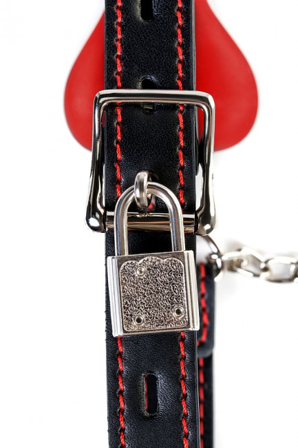 Красный кляп-трензель Theatre в виде косточки с зажимами для сосков Красный кляп-трензель Theatre в виде косточки с зажимами для сосков