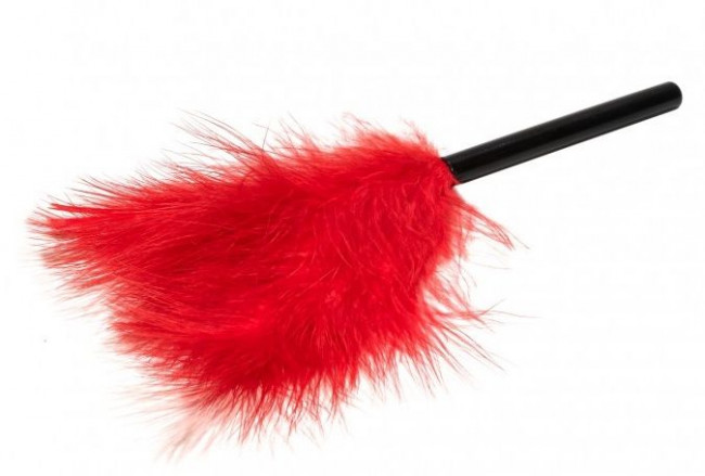 Эротический набор БДСМ из 5 предметов в красном цвете Эротический набор БДСМ из 5 предметов в красном цвете