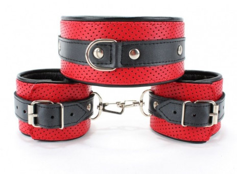 Кожаный БДСМ-набор