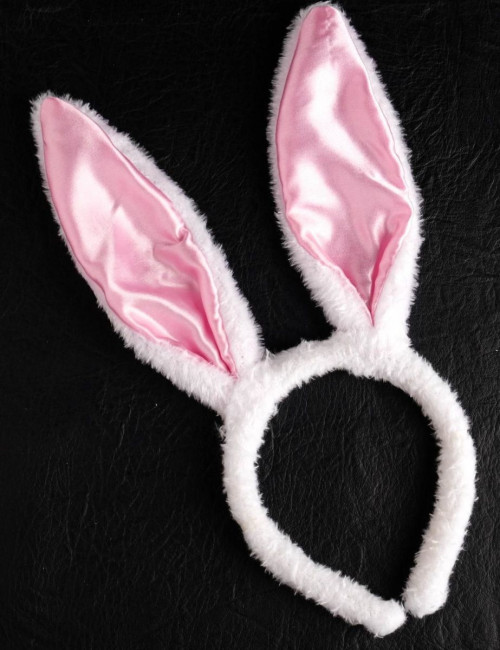 Эротический набор "Во власти страсти. Девушка-плейбой" Эротический набор "Во власти страсти. Девушка-плейбой"