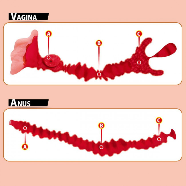 Телесный вибромастурбатор-полуторс Adel с двумя любовными отверстиями Телесный вибромастурбатор-полуторс Adel с двумя любовными отверстиями