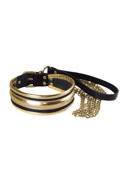Золотисто-черный ошейник с поводком Золотисто-черный ошейник с поводком