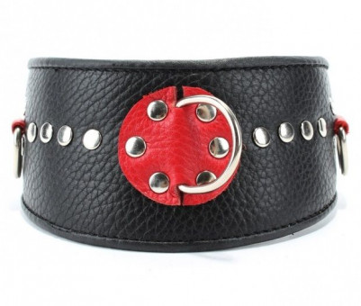 Кожаный ошейник с металлическими клепками