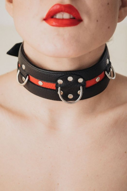 Черно-красный ошейник на пряжке Черно-красный ошейник на пряжке