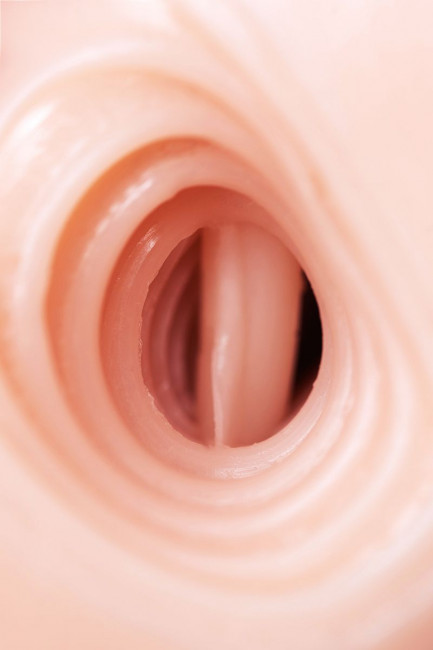 Мастурбатор PPP Himekanou Wide Cup Pleasure Zori Hidatype Мастурбатор PPP Himekanou Wide Cup Pleasure Zori Hidatype